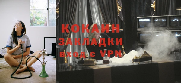 гидра Ельня