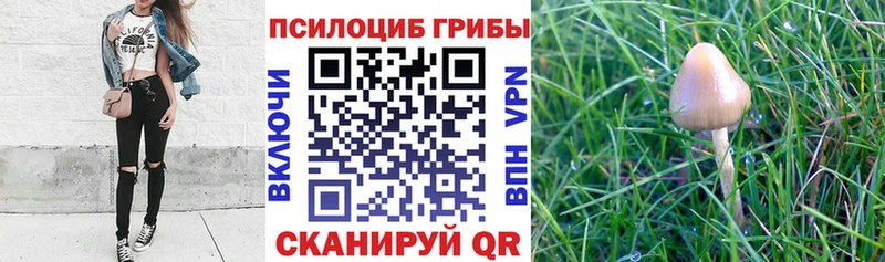Псилоцибиновые грибы ЛСД  Майкоп 